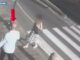 Rapina da 270 mila euro ma nella fuga il bandito perde il telefono