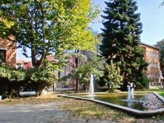 Vial Dante in Festa il 19 settembre ai Giardini AIDO
