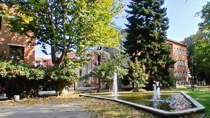 Vial Dante in Festa il 19 settembre ai Giardini AIDO