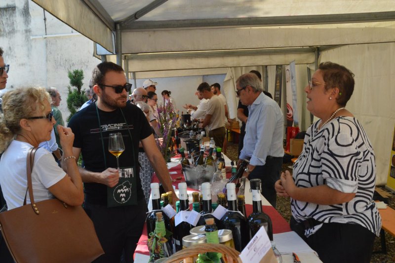 Ziano celebra il Malvasia tra degustazioni, tradizioni e territorio