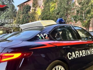 Animali che attraversano, auto senza assicurazione, colpi di sonno: tredici incidenti strafalnel fine settimana