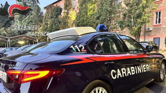 Animali che attraversano, auto senza assicurazione, colpi di sonno: tredici incidenti strafalnel fine settimana