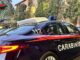 Animali che attraversano, auto senza assicurazione, colpi di sonno: tredici incidenti strafalnel fine settimana