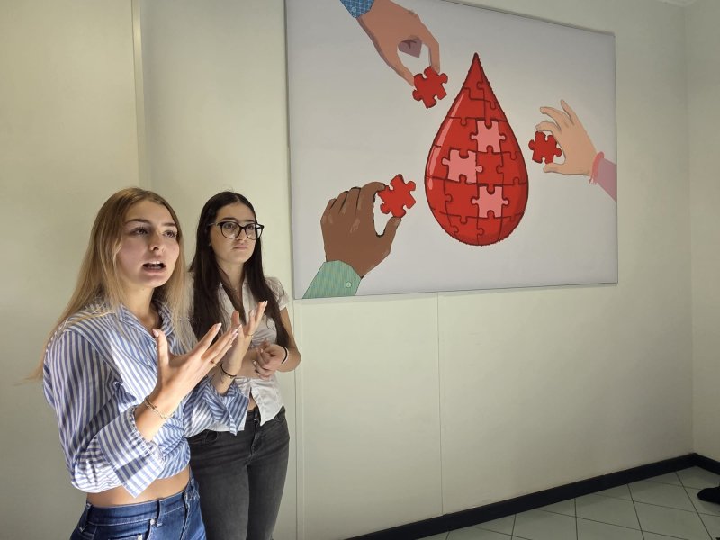 Avis incontra il Cassinari, tante mani per un unico puzzle: l'opera di Sofia e Mathilda racconta il senso del donare AUDIO