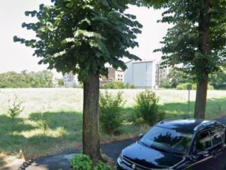 Campo di via Morigi, Legambiente plaude al consiglio comunale: "Passo avanti per trasformarlo in verde pubblico"