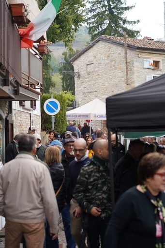Da Alta Val Tidone alla provincia intera e oltre: il trionfo del Nero di Pecorara
