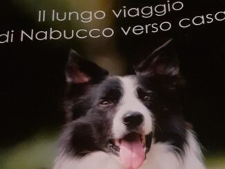 Il libro d'esordio della piacentina Anna Pellettieri Il lungo viaggio di Nabucco verso casa: i cani possono cambiare la vita in meglio delle persone AUDIO
