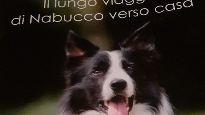 Il libro d'esordio della piacentina Anna Pellettieri Il lungo viaggio di Nabucco verso casa: i cani possono cambiare la vita in meglio delle persone AUDIO