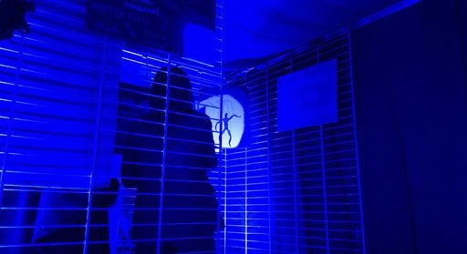 In Provincia la mostra contro la violenza di genere