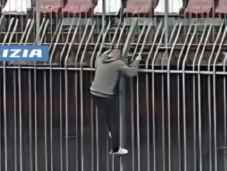 Invasione di campo durante la partita Piacenza Caldiero Terme, daspo di tre anni per un tifoso 40enne
