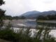 "Puliamo le rive del Trebbia a Rivergaro", appuntamento il 10 ottobre