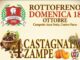 Rottofreno, arriva la “Castagnata a 4 zampe”, il 18 ottobre festa tra castagne, specialità piacentine e musica