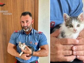 Salvato dal vano motore e adottato da un carabiniere, una nuova casa per Mirtillo