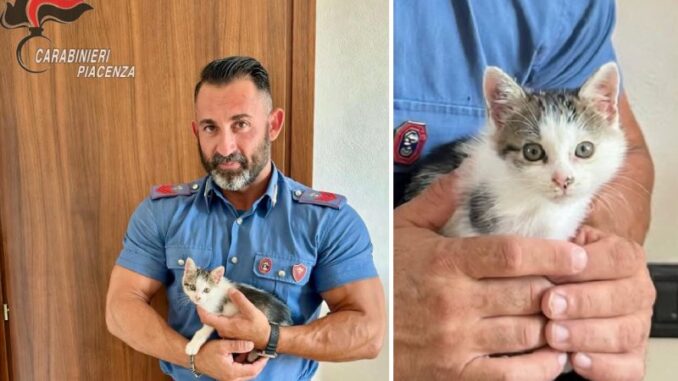 Salvato dal vano motore e adottato da un carabiniere, una nuova casa per Mirtillo