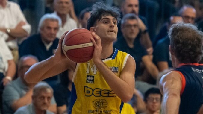Fiorenzuola Bees