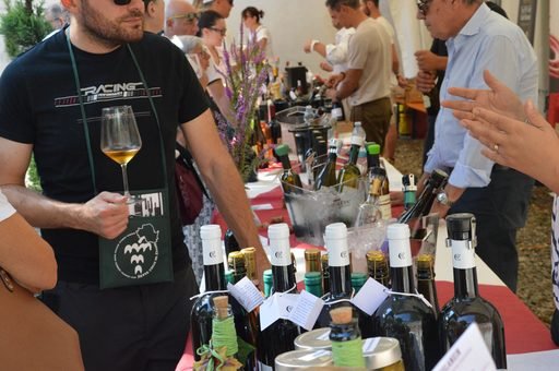 Va in archivio il Valtidone Wine Fest 2026