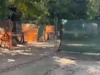 Via Alberoni, Trespidi: "Residenti senza parcheggio e danni per le attività commerciali"