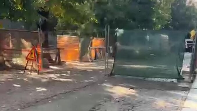 Via Alberoni, Trespidi: "Residenti senza parcheggio e danni per le attività commerciali"